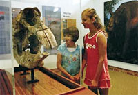 Coonabarabran Accommodation - Australian Museum Diprotodon Exhibition